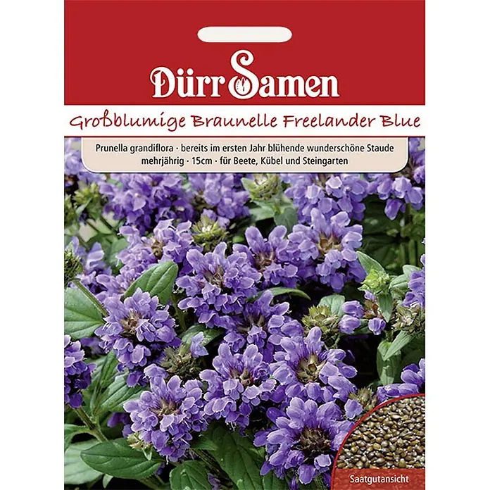 Dürr Samen Prunella Braunelle blau gefärbte Blüten mehrjährig 15 cm -  - Dürr Samen Packung für Großblumige Braunelle 'Freelander Blue' (Prunella grandiflora) mit lila Blüten und Samenbild.