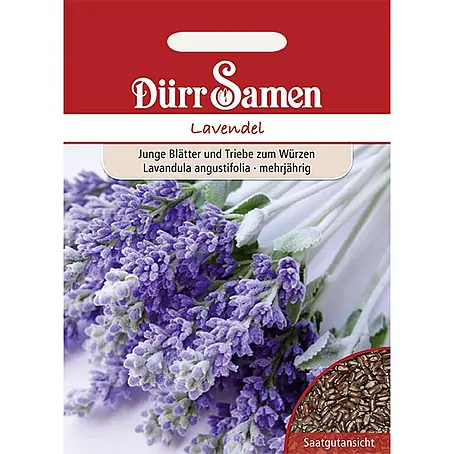 Dürr Samen  Kräutersamen Lavendel