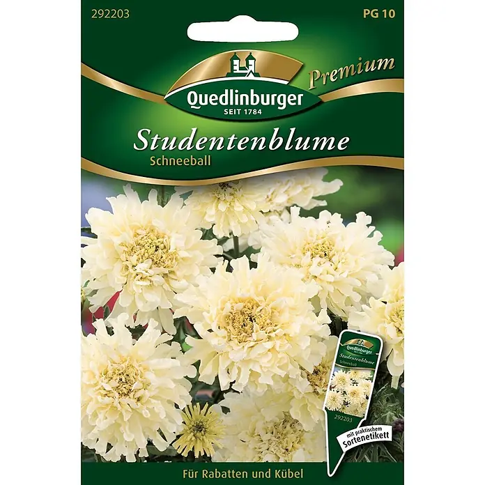 Quedlinburger SAATGUT Studentenblumen Schneeball -  - Quedlinburger Premium Samenpackung für Studentenblume Schneeball, mit weißen/cremefarbenen gefüllten Blüten. Geeignet für Rabatten und Kübel.