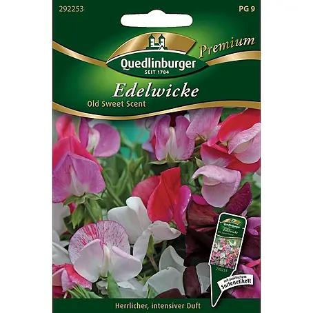 Quedlinburger SAATGUT  Blumensamen Wicke