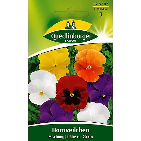 Quedlinburger SAATGUT Hornveilchen