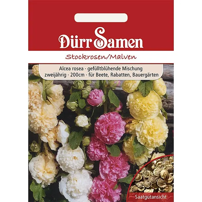 Dürr Samen Stockrosen/ Malven zweijährig 200 cm -  - Dürr Samen Samentüte für gefülltblühende Stockrosen (Alcea rosea) mit rosa, weißen und gelben Blüten, plus Samenansicht.
