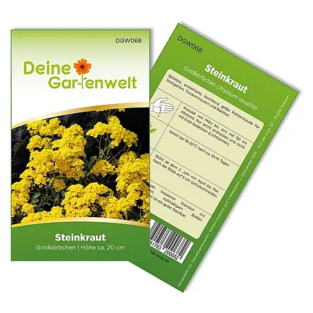 Deine Gartenwelt Steinkraut Goldkörbchen