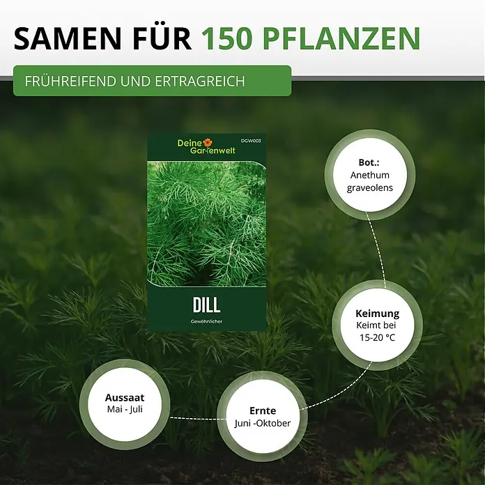 Deine Gartenwelt Dill Gewöhnlicher -  - Samenpaket Dill für 150 Pflanzen mit Informationen zu Aussaat, Keimung und Ernte, auf Hintergrund von Dillpflanzen.