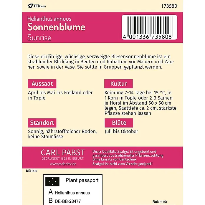 Pabst Keimkraft Sonnenblume Sunrise -  - Samentüte für Carl Pabst Helianthus annuus 'Sonnenblume Sunrise', mit Pflanzanleitung und Pflanzenpass.