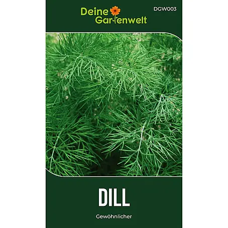 Deine Gartenwelt Dill Gewöhnlicher