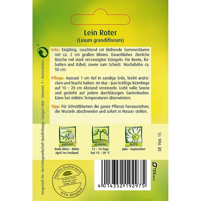 Quedlinburger SAATGUT Blumensamen Lein - Linum grandiflorum, Rot - Grüne Samentüte für 'Lein Roter' (Roter Lein) Samen mit Anbauanweisungen.