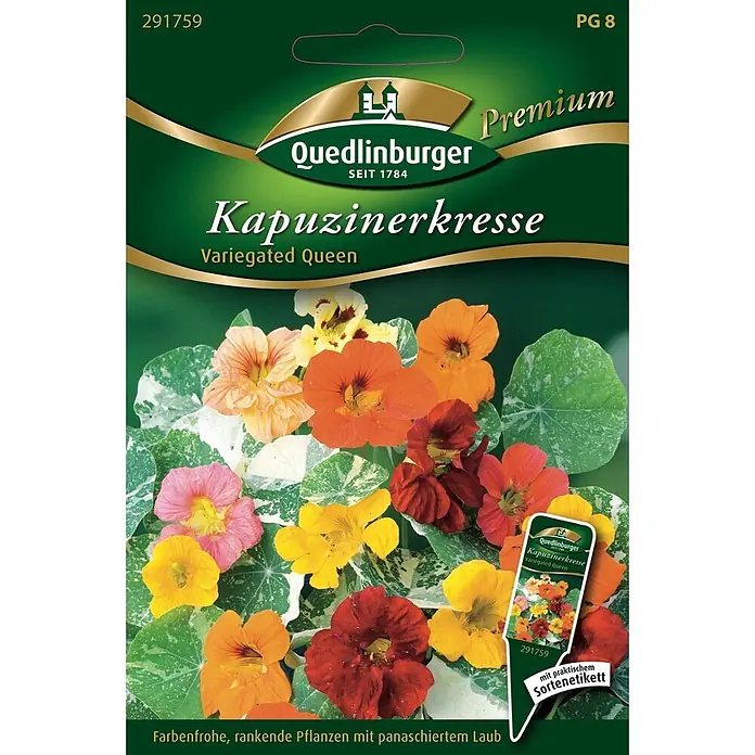 Quedlinburger SAATGUT Blumensamen Kapuzinerkresse - Tropaeolum majus, Mehrfarbig - Quedlinburger 'Variegated Queen' Kapuzinerkresse Samenpackung mit bunten Blüten und panaschierten Blättern.
