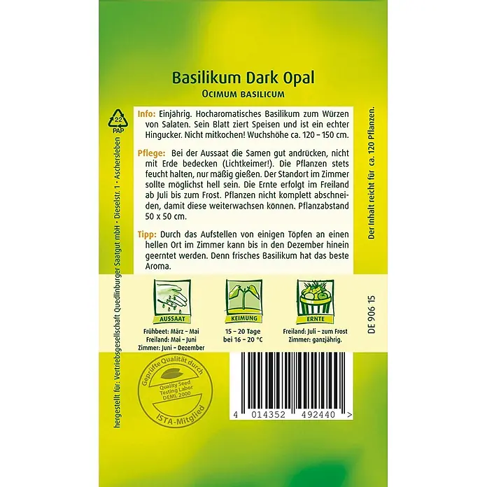Quedlinburger SAATGUT Kräutersamen Basilikum - Ocimum basilicum, Saatzeit: März, Erntezeit: Juli - Samenpäckchen für Basilikum Dark Opal, gelb-grün, mit Pflanzanleitung und Symbolen.