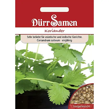 Dürr Samen  Kräutersamen Koriander