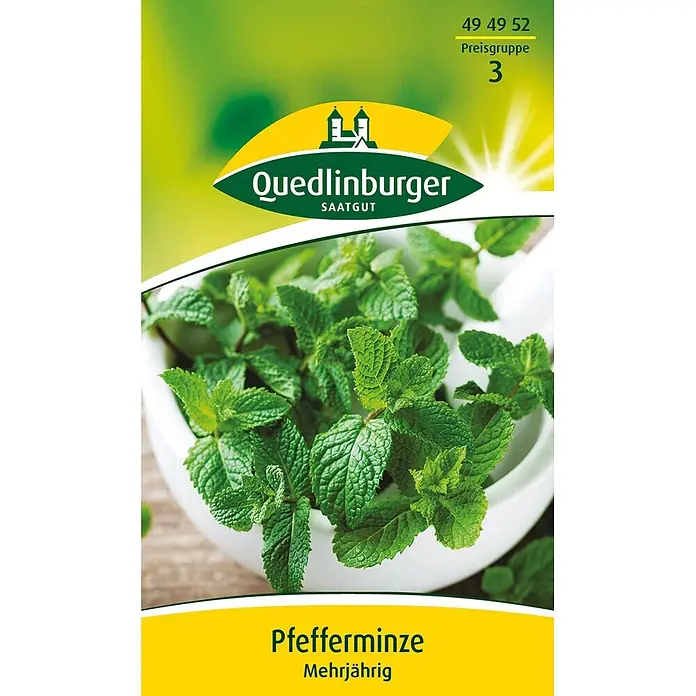 Quedlinburger SAATGUT Kräutersamen Pfefferminze - Mentha x piperita, Saatzeit: März, Erntezeit: Juli - Quedlinburger Pfefferminze Saatgut-Packung mit frischen Minzeblättern.
