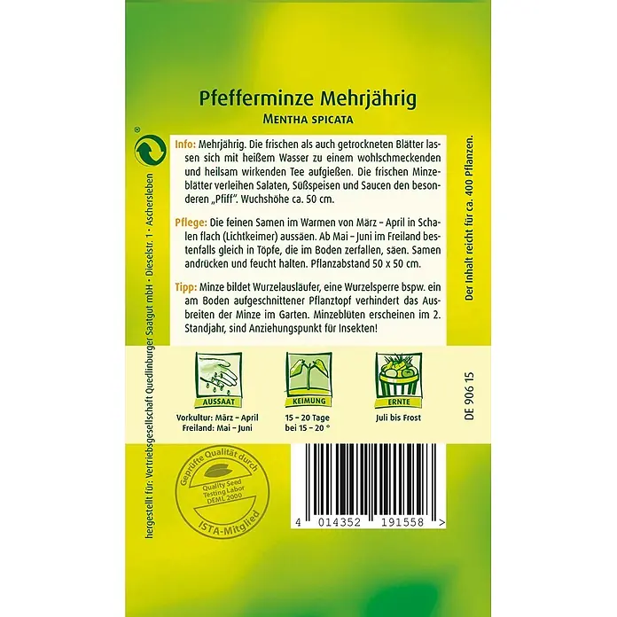 Quedlinburger SAATGUT Kräutersamen Pfefferminze - Mentha x piperita, Saatzeit: März, Erntezeit: Juli - Grüne und gelbe Samentüte für mehrjährige Pfefferminze mit Pflanzanleitung und Barcode.