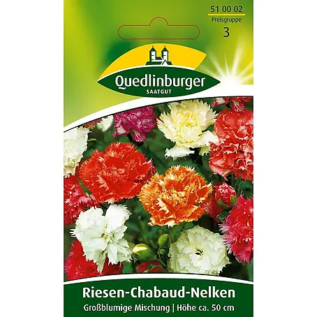 Quedlinburger SAATGUT  Blumensamen Nelke