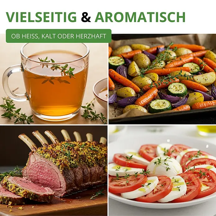 Deine Gartenwelt Thymian Deutscher Winter -  - Thymian als vielseitiges aromatisches Kraut in heißem Tee, Ofengemüse, Lamm und kaltem Caprese-Salat.