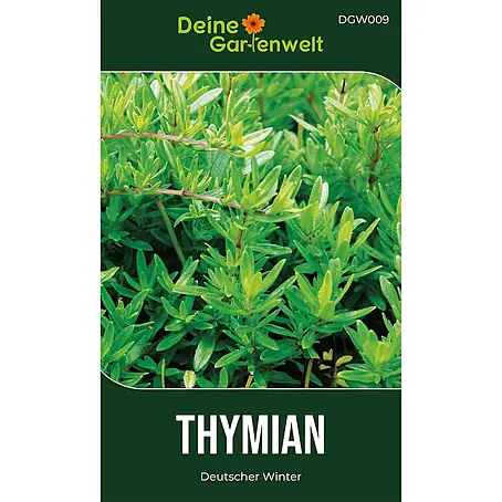 Deine Gartenwelt Thymian Deutscher Winter