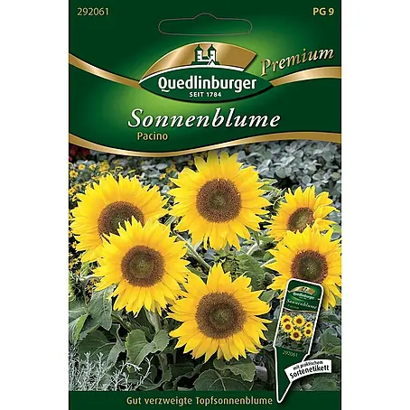 Quedlinburger SAATGUT  Blumensamen Sonnenblume