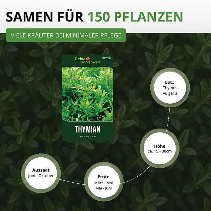 Deine Gartenwelt Thymian Deutscher Winter -  - Samenpackung für 'Thymian Deutscher Winter', für 150 Pflanzen, mit Aussaat-, Ernte- und botanischen Details. Minimale Pflege.
