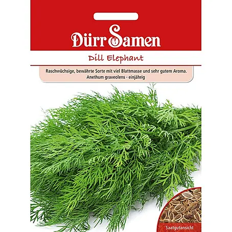 Dürr Samen  Kräutersamen Dill
