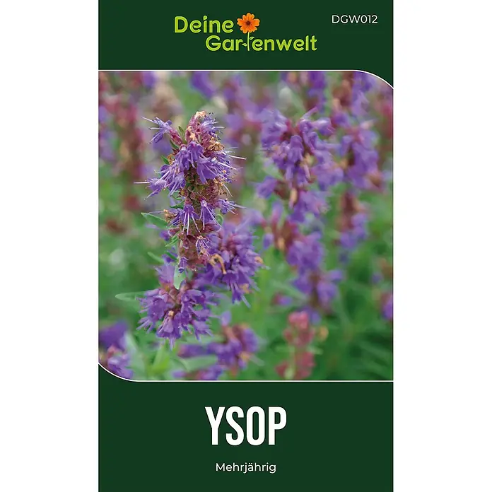 Deine Gartenwelt Ysop -  - Dunkelgrüne Samenpackung mit leuchtend lila Ysop-Blüten und dem Text 'Mehrjährig'.