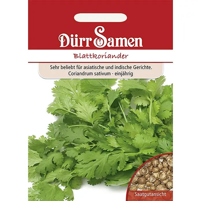 Dürr Samen Kräutersamen Blattkoriander - Coriandrum sativum, Saatzeit: April, Erntezeit: April - Dürr Samen Blattkoriander-Samenpäckchen mit frischen Blättern und einer Ansicht von Koriandersamen.