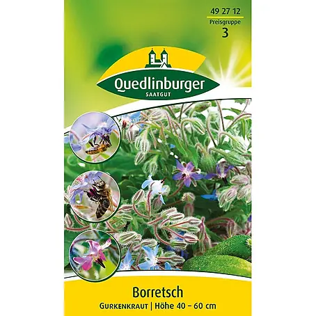 Quedlinburger SAATGUT  Kräutersamen Borretsch