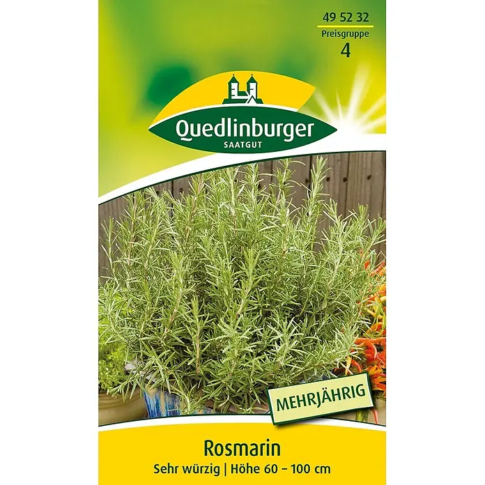 Quedlinburger SAATGUT Kräutersamen Rosmarin - Rosmarinus officinalis, Saatzeit: März, Erntezeit: Mai - Quedlinburger Rosmarin Saatgut-Packung mit Bild einer gesunden Rosmarinpflanze, sehr würzig und mehrjährig, Höhe 60-100 cm.