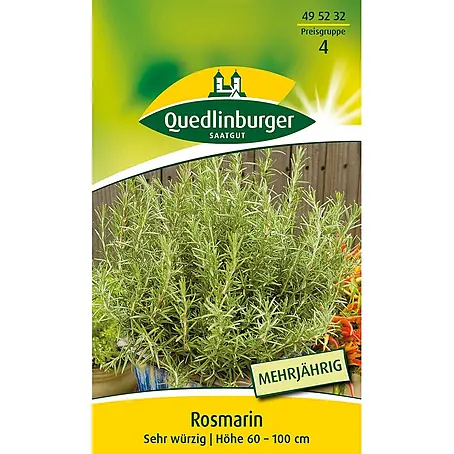 Quedlinburger SAATGUT  Kräutersamen Rosmarin