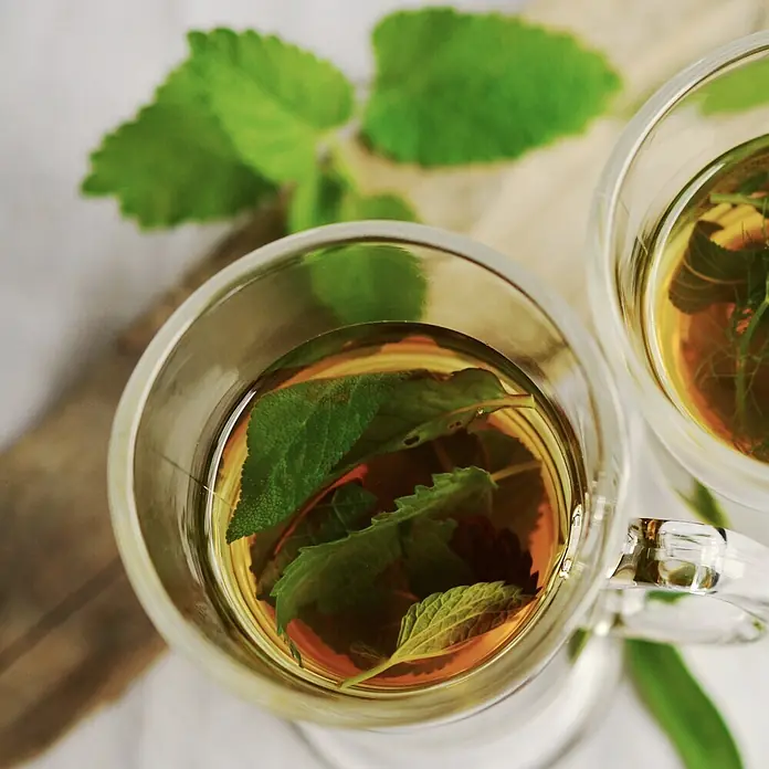 Deine Gartenwelt Salbei -  - Zwei klare Gläser mit Kräutertee und frischen grünen Minzblättern.