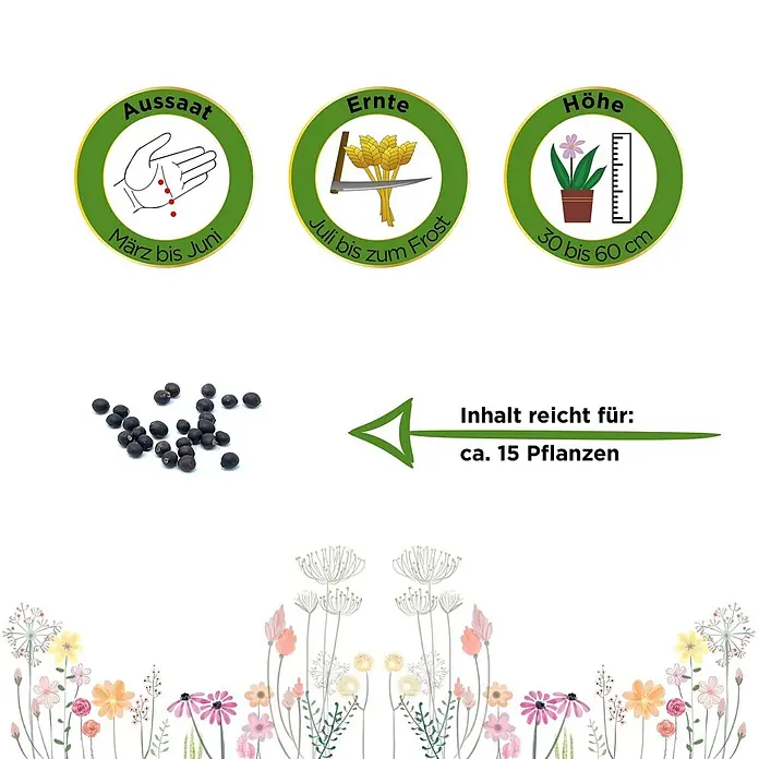 Deine Gartenwelt Salbei -  - Samenpaket mit Informationen zu Aussaat (März-Juni), Ernte (Juli-Frost), Wuchshöhe (30-60 cm) und Inhalt für ca. 15 Pflanzen.