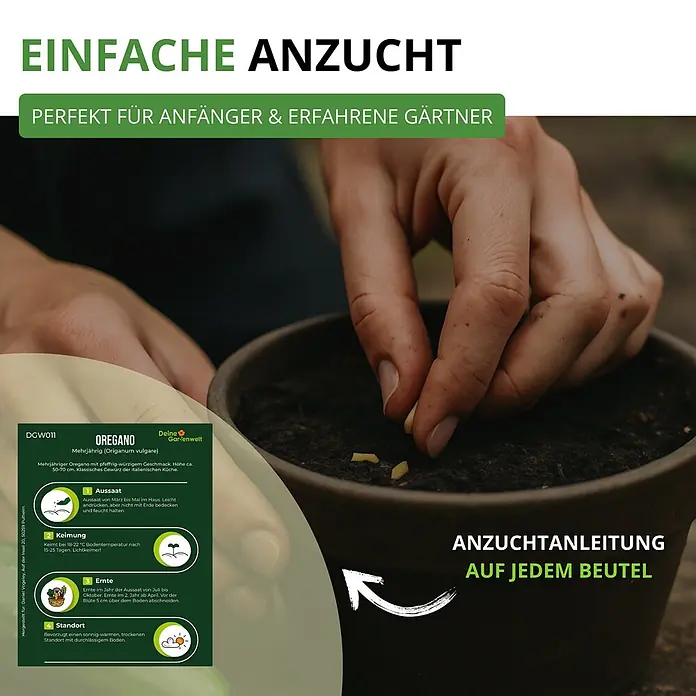 Deine Gartenwelt Oregano -  - Hand pflanzt Oregano-Samen in einen Topf, mit detaillierten Anweisungen zur Aussaat, Keimung, Ernte und idealen Bedingungen.