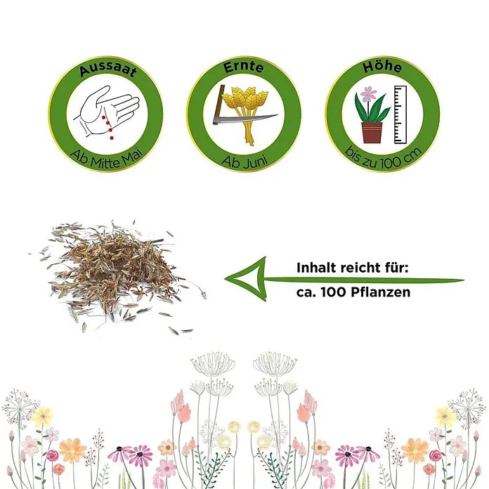 Deine Gartenwelt Zitronengras -  - Pflanzanleitung: Aussaat ab Mitte Mai, Ernte ab Juni, Höhe bis 100 cm. Inhalt für ca. 100 Pflanzen, mit Samen.