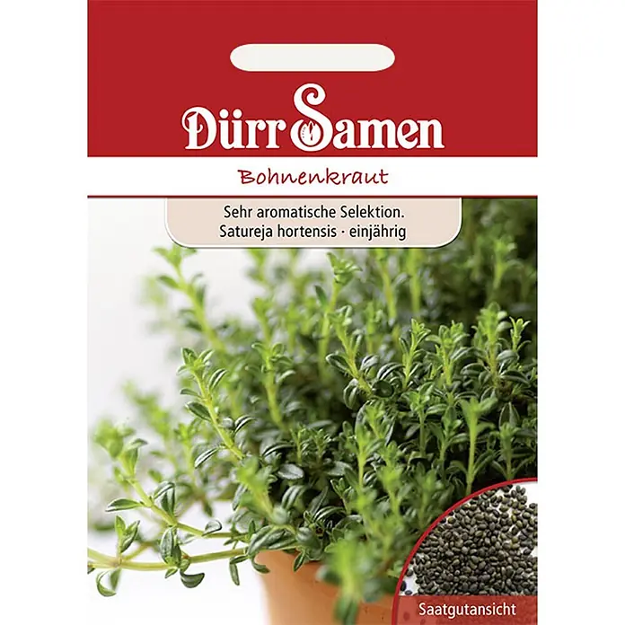 Dürr Samen Kräutersamen Bohnenkraut - Satureja hortensis, Saatzeit: März, Erntezeit: Juni - Rote und weiße Samentüte für Dürr Samen Bohnenkraut, mit grüner Pflanze und dunklen Samen.