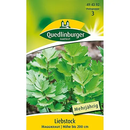 Quedlinburger SAATGUT Liebstock Maggikraut
