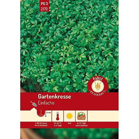 Pabst Keimkraft  Kräutersamen Gartenkresse