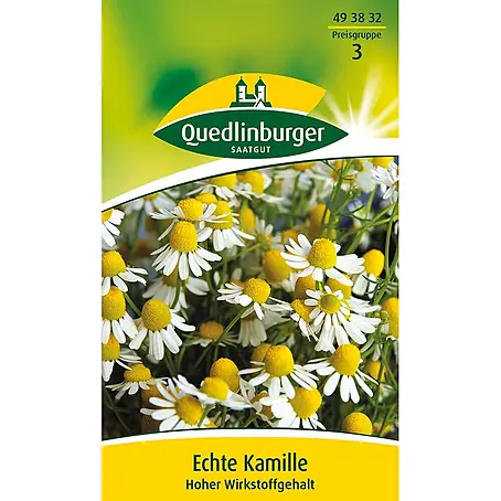 Quedlinburger SAATGUT Echte Kamille Bodegold