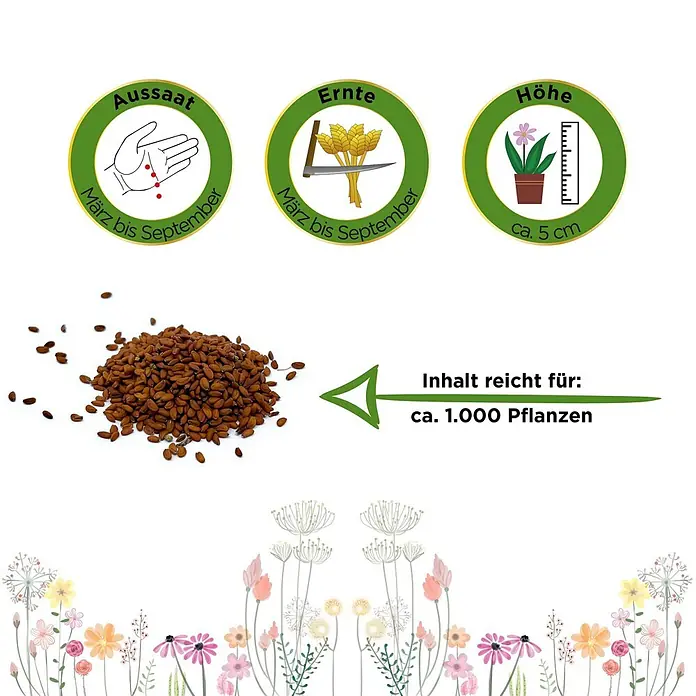 Deine Gartenwelt Gartenkresse Einfache Grüne -  - Saatgutinformationen: Aussaat/Ernte März-September, Pflanzenhöhe ca. 5 cm. Inhalt reicht für ca. 1.000 Pflanzen.