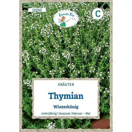 Grüne Fee  Kräutersamen Thymian