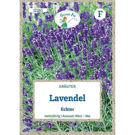 Grüne Fee  Kräutersamen Lavendel