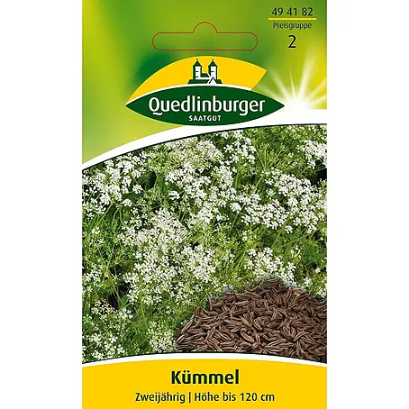 Quedlinburger SAATGUT  Kräutersamen Kümmel