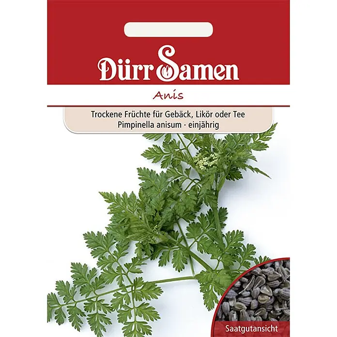 Dürr Samen Kräutersamen Anis - Pimpinella anisum, Saatzeit: April, Erntezeit: Juli - Anis-Samenpäckchen mit Pflanzenbild und Nahaufnahme der Samen. Für Gebäck, Likör oder Tee.