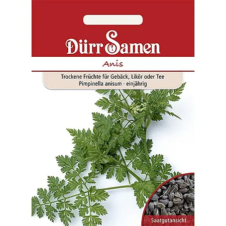 Dürr Samen  Kräutersamen Anis