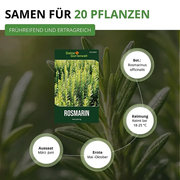 Deine Gartenwelt Rosmarin -  - Rosmarin-Saatgutpaket mit botanischem Namen, Keim-, Aussaat- und Ernteinformationen für 20 Pflanzen.