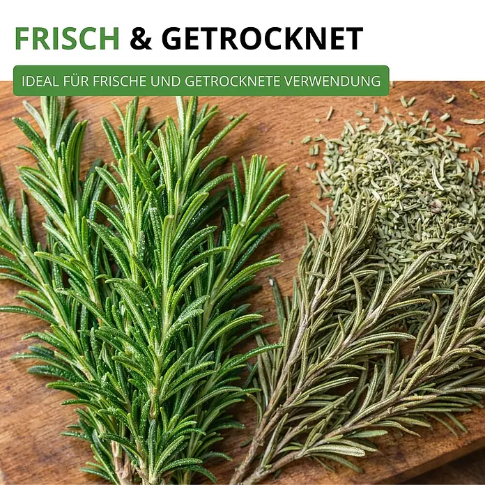 Deine Gartenwelt Rosmarin -  - Frische und getrocknete Rosmarinzweige, dazu getrockneter Rosmarin auf Holzbrett. Ideal für frische und getrocknete Verwendung.
