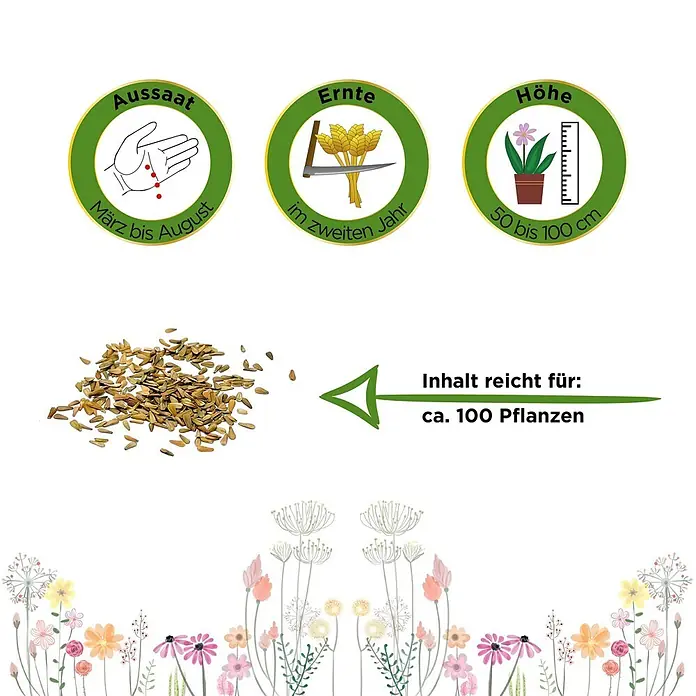 Deine Gartenwelt Baldrian -  - Samenpaket-Informationen: Aussaat März-August, Ernte im zweiten Jahr, Höhe 50-100cm, ergibt ca. 100 Pflanzen. Samen und dekorative Wildblumen.