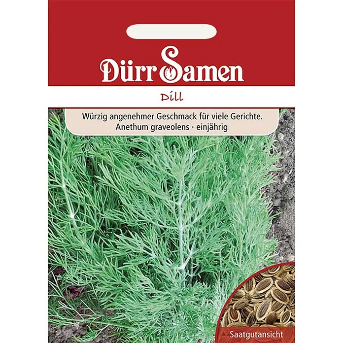Dürr Samen Kräutersamen Dill - Anethum graveolens, Saatzeit: April, Erntezeit: Mai - Dürr Samen Dill-Samentüte, zeigt eine grüne Dillpflanze und Dillsamen. Text: „Würzig angenehmer Geschmack für viele Gerichte.“
