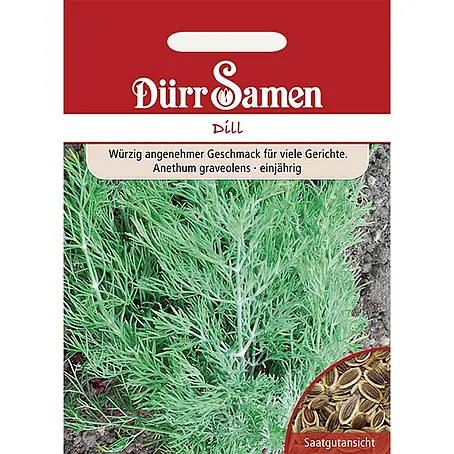 Dürr Samen  Kräutersamen Dill