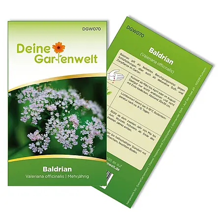 Deine Gartenwelt Baldrian