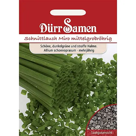 Dürr Samen Schnittlauch Mittelgrobröhrig Miro