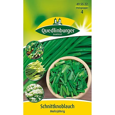 Quedlinburger SAATGUT  Kräutersamen Schnittknoblauch