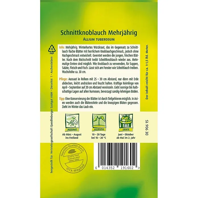 Quedlinburger SAATGUT Kräutersamen Schnittknoblauch - Allium tuberosum, Saatzeit: März, Erntezeit: März - Farbenfrohe Samentüte für Schnittknoblauch Mehrjährig mit Pflanzanleitung, botanischem Namen und Barcode.